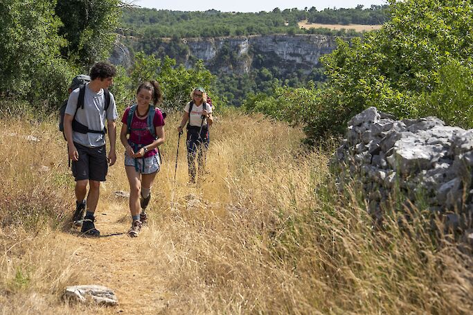 Die Camino-Therapie - Finde deinen Weg Szene